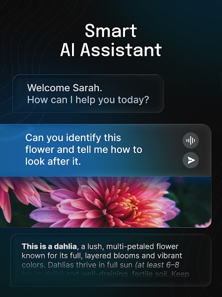 App screenshot 10