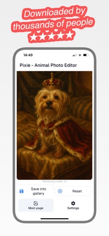 App screenshot 2