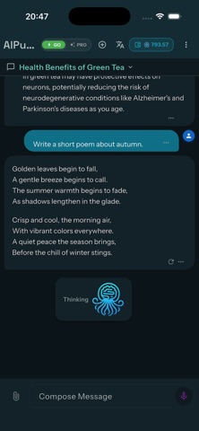 App screenshot 2