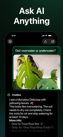 App screenshot 2