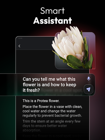 App screenshot 10