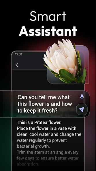 App screenshot 2
