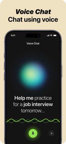 App screenshot 3