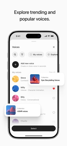 App screenshot 5