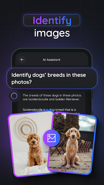 App screenshot 4