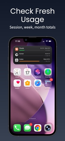 App screenshot 3