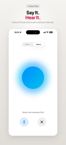 App screenshot 9