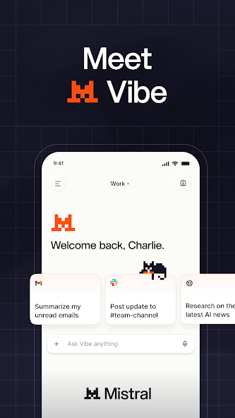 App screenshot 1